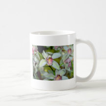 Cymbidium flowers coffee mugs