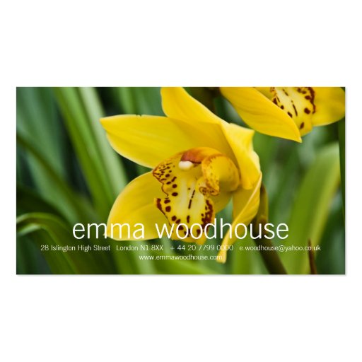 Cymbidium Orchid Business Cards