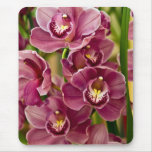 Cymbidium Orchid Mouse Pads