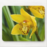 Cymbidium Orchid Mousepad