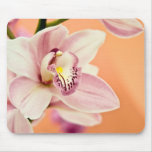 Cymbidium Orchid Mousepads