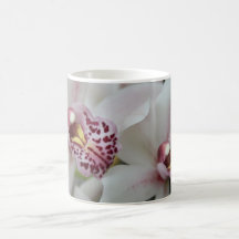 Cymbidium Orchid Mugs
