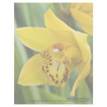 Cymbidium Orchid Personalized Letterhead