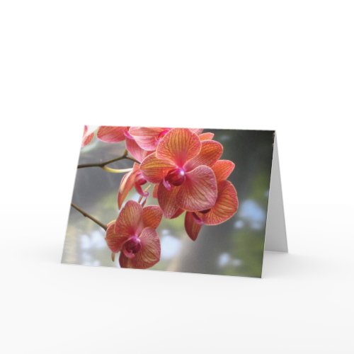 Cymbidium Orchids card