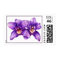 Cymbidium Orchids Postage stamps