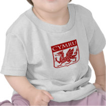 Cymru - Wales t-shirts