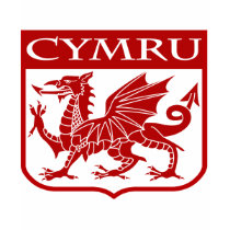 Cymru - Wales T Shirts
