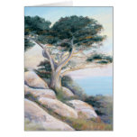 Cypress at Sunset Card