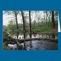 Cypress Creek cards