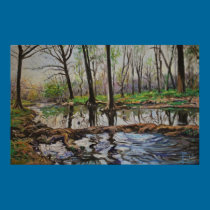 Cypress Creek posters by Cathyyy Cypress Creek posters