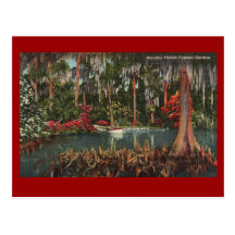 Cypress Gardens Vintage Postcard