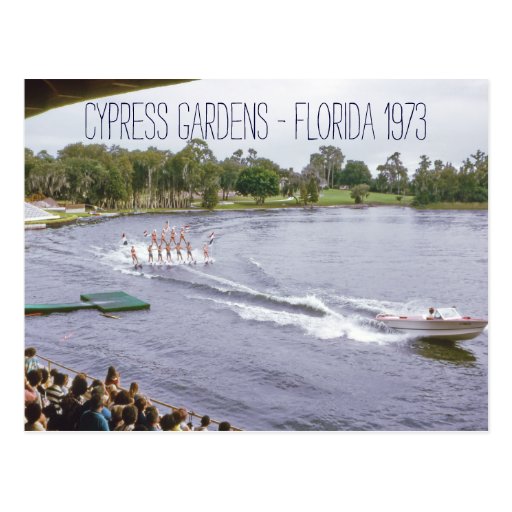 Cypress Gardens Water Ski Show Vintage Inspired Postcard Zazzle