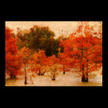 Cypress Grove posters