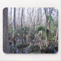 Cypress Hammock Everglades Florida mousepads by inquester Cypress Hammock Everglades Florida mousepads