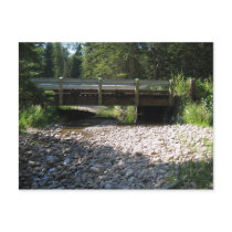 Cypress Hills, Alb. Canada postcards by starverse Cypress Hills, Alb. Canada postcards