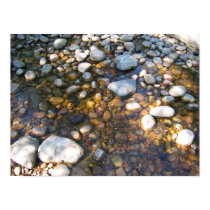 Cypress Hills, Alb. Canada posters by starverse Cypress Hills, Alb. Canada posters