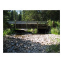 Cypress Hills, Alb. Canada posters