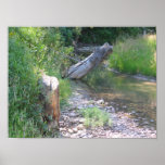 Cypress Hills, Alb. Canada Poster