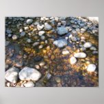 Cypress Hills, Alb. Canada Poster