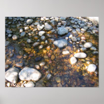 Cypress Hills, Alb. Canada Poster