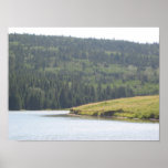 Cypress Hills, Alb. Canada Poster