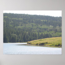 Cypress Hills, Alb. Canada Poster