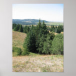 Cypress Hills, Alb. Canada Posters