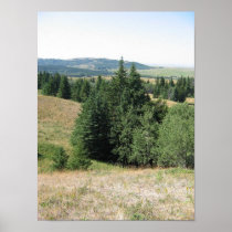 Cypress Hills, Alb. Canada Posters