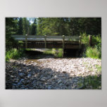 Cypress Hills, Alb. Canada Poster