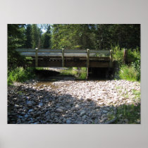 Cypress Hills, Alb. Canada Poster