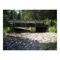 Cypress Hills, Alb. Canada posters