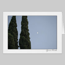 Cypress Moon cards