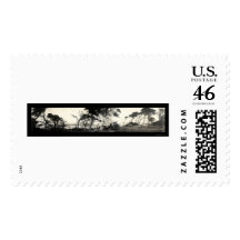 Cypress Point Monterey Photo 1907 Stamp