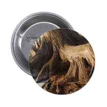 Cypress Roots Pinback Buttons