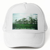 Cypress Sentries Custom Hat hat