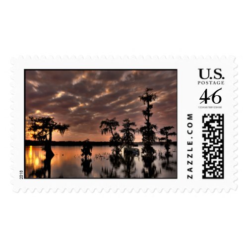Cypress Silhouettes HDR - Large Stamp stamp