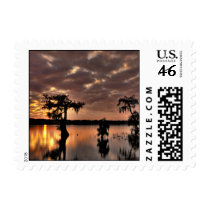 Cypress Silhouettes HDR-Small Stamp