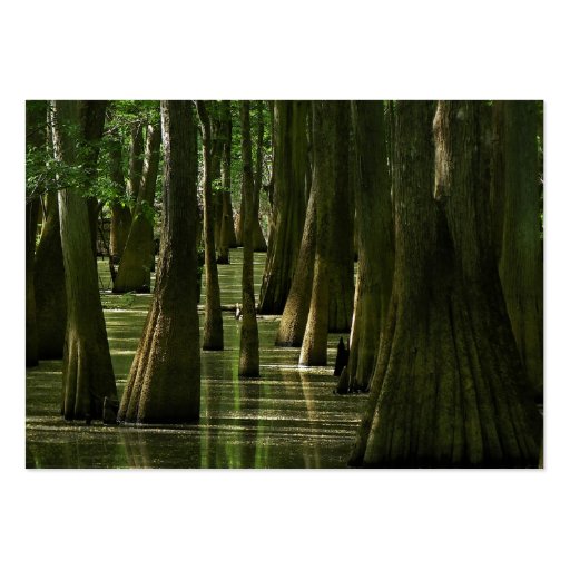 Cypress Swamp ATC Card Business Card (front side)
