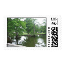 Cypress Trees at Reelfoot Lake Postage postage