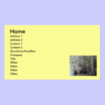Cypress Trees business cards