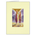 Cypress Trees in Sunflower Field III cards