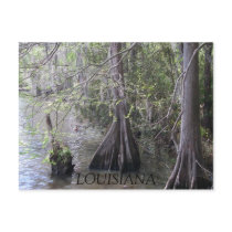 Cypress Trees Postcard