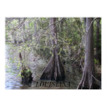 Cypress Trees Poster