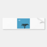 Cypress with cloud bumper stickers