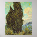 Cypresses Canvas Print Cypresses Canvas Print