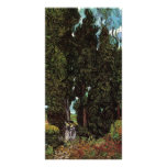 Cypresses with Two Female Figures by van Gogh Photo Card Template