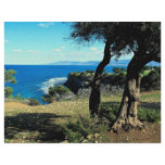 Cyprus flyers