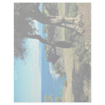Cyprus Customized Letterhead