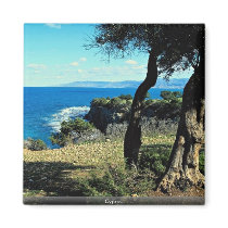Cyprus Magnets