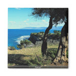 Cyprus magnets
